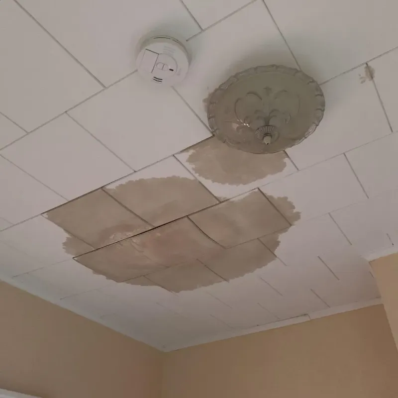 Ceiling Water Damage Repair in Hedwig Village, TX