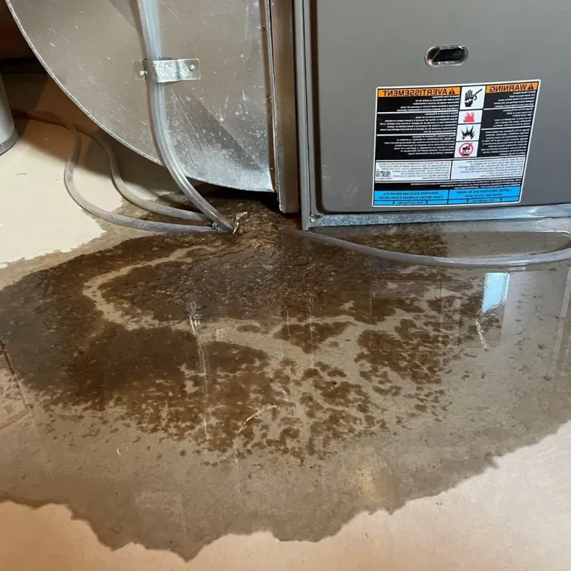 Pipe Burst and Leak Restoration in Hedwig Village, TX